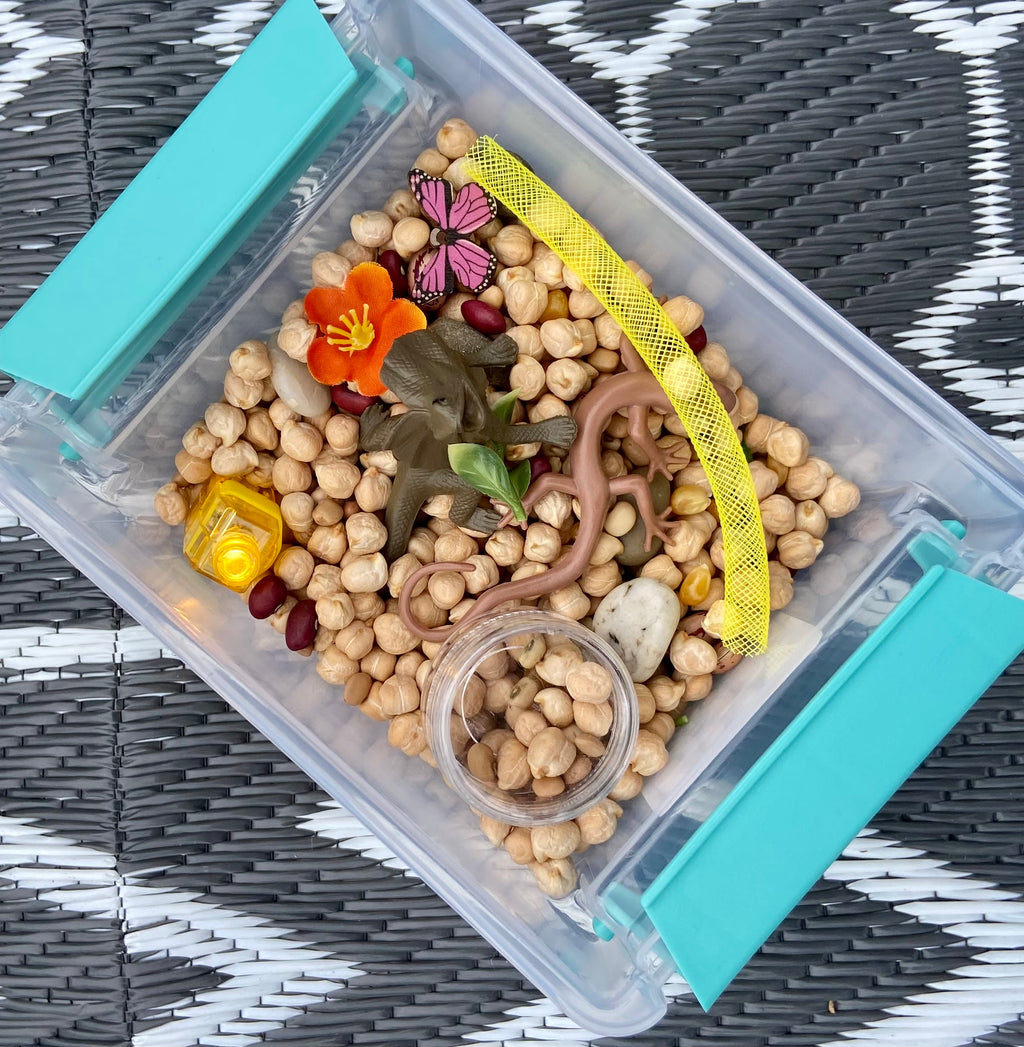 Sensory Kits - Desert Oasis