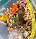 Sensory Kits - Desert Oasis
