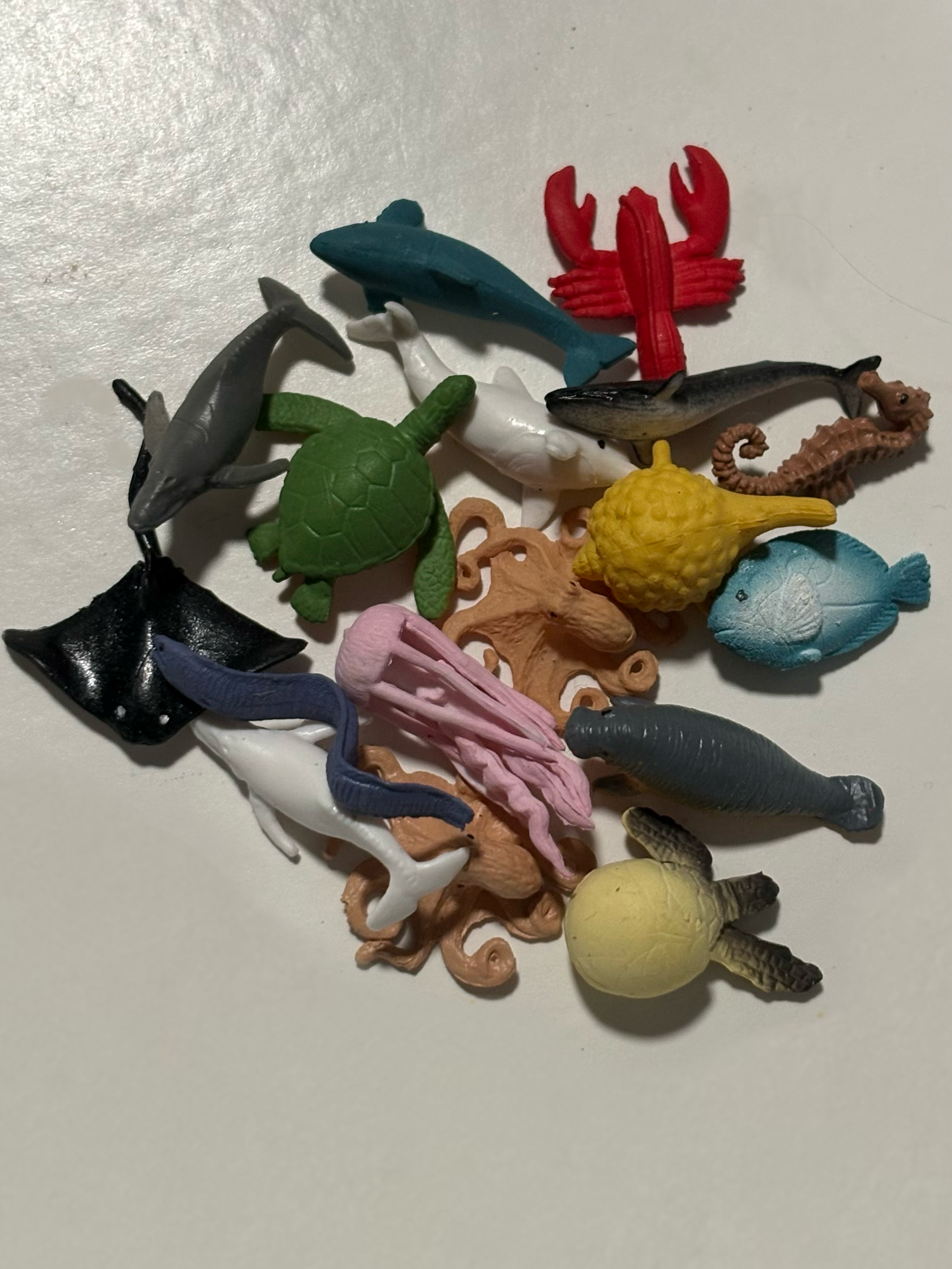 Sensory Kit (Travel) - Custom